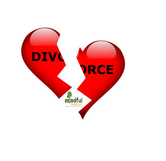 divorcecounsellingservicesdelhi